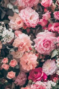 WhatsApp Image 2025-01-21 at 23.38.17